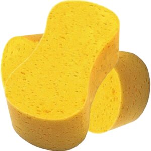car sponge