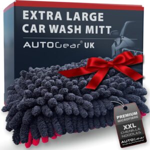 car wash mitt