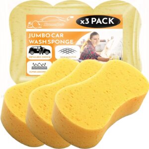 car sponge