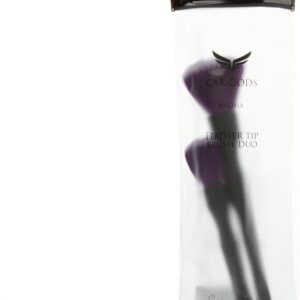 car detailing protection