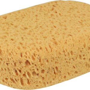 car sponge