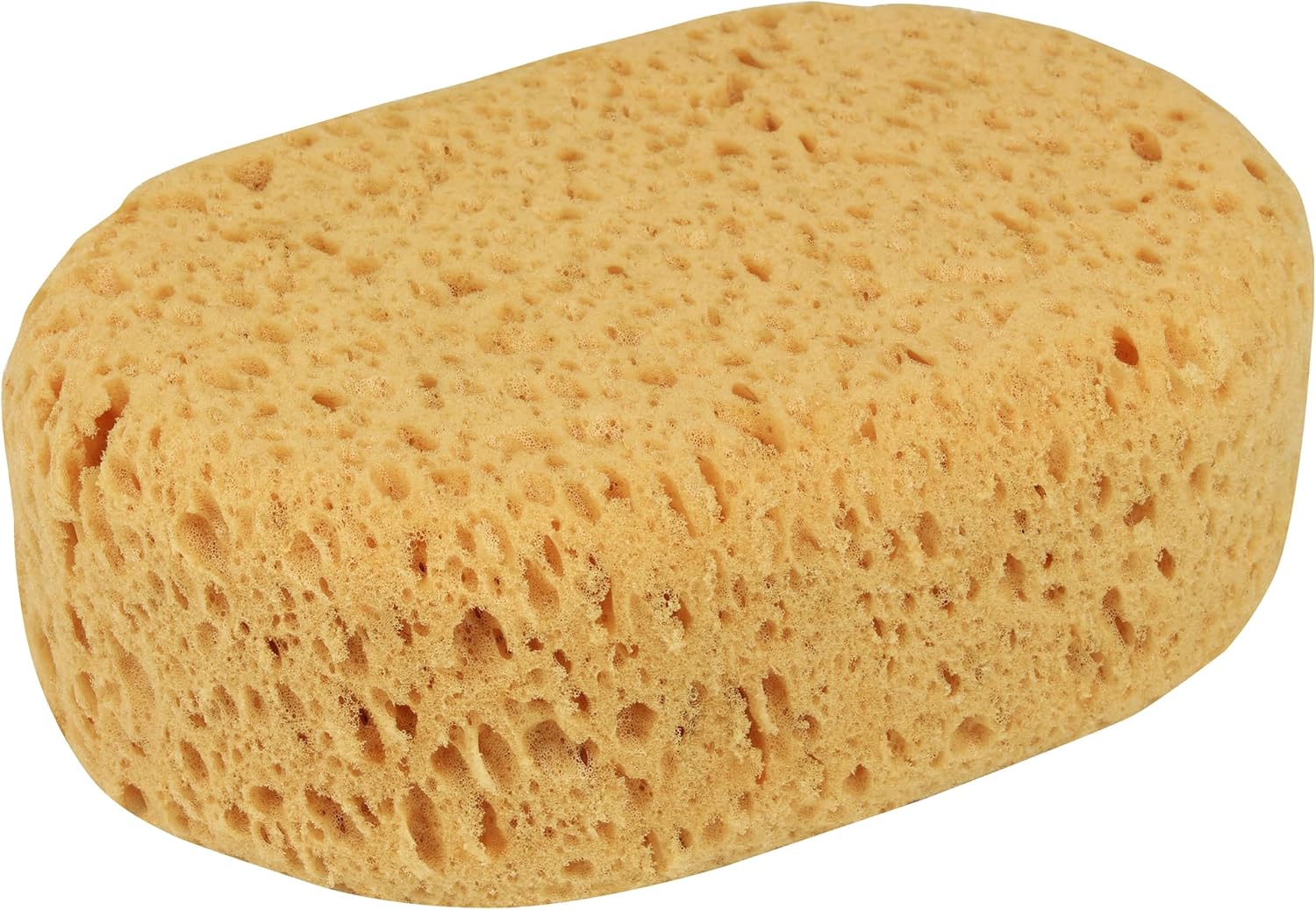 car sponge
